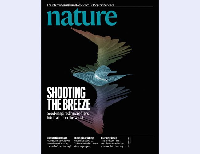 空白背景new - 副本.jpg