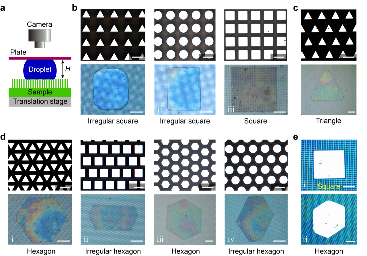20220522-科研成果-吕存景-新闻稿插图1PNG 20220522-科研成果-吕存景-新闻稿插图1PNG